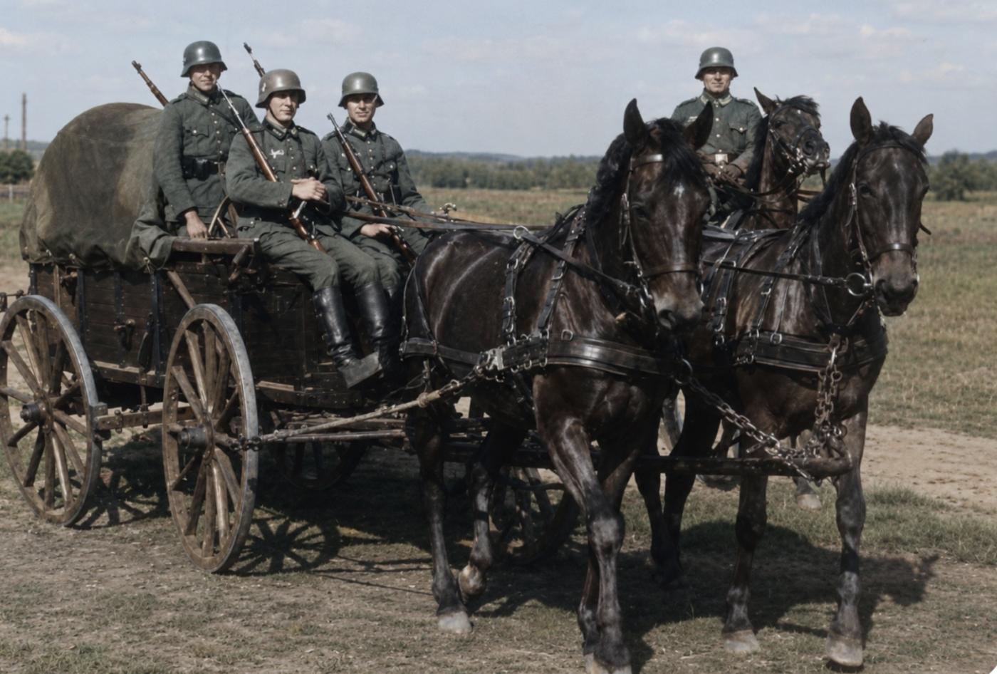 German horse training centres 