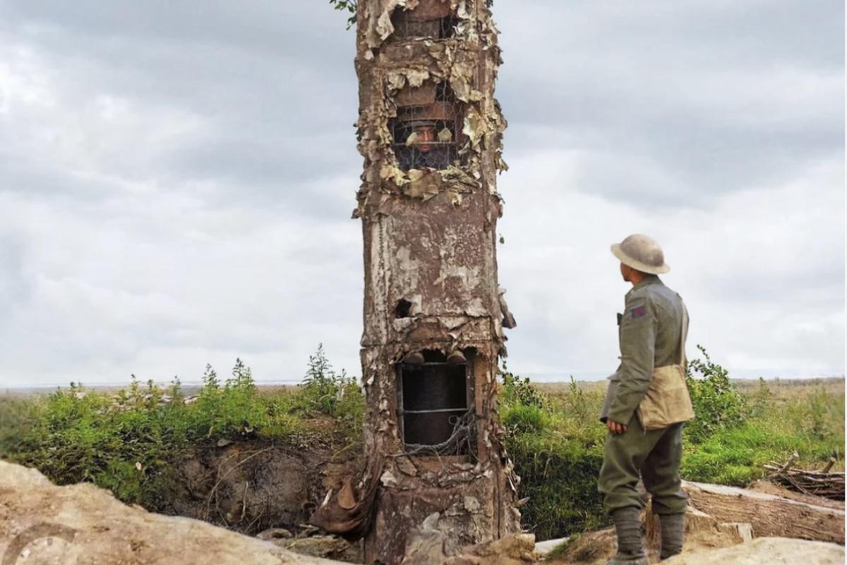 Tree surveillance 