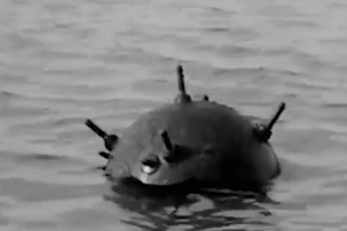 Naval mines