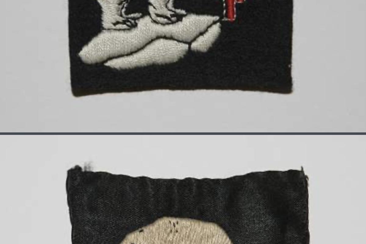 Polar bear badge 49 th division 