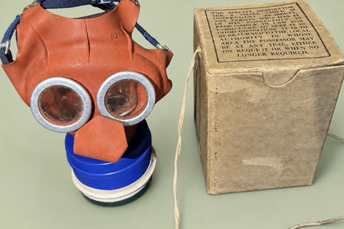Micky mouse gas mask ww11