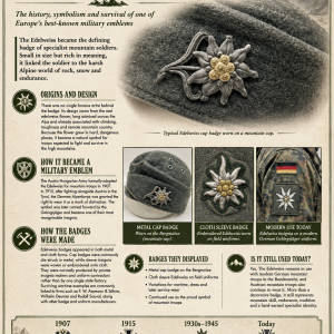 Edelweiss badge 